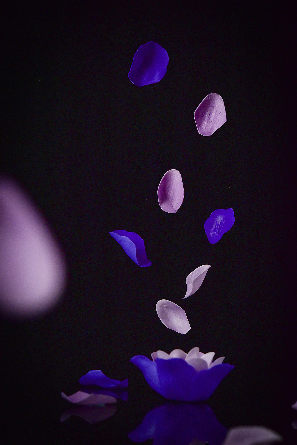 静物摄影 | 玫瑰皂