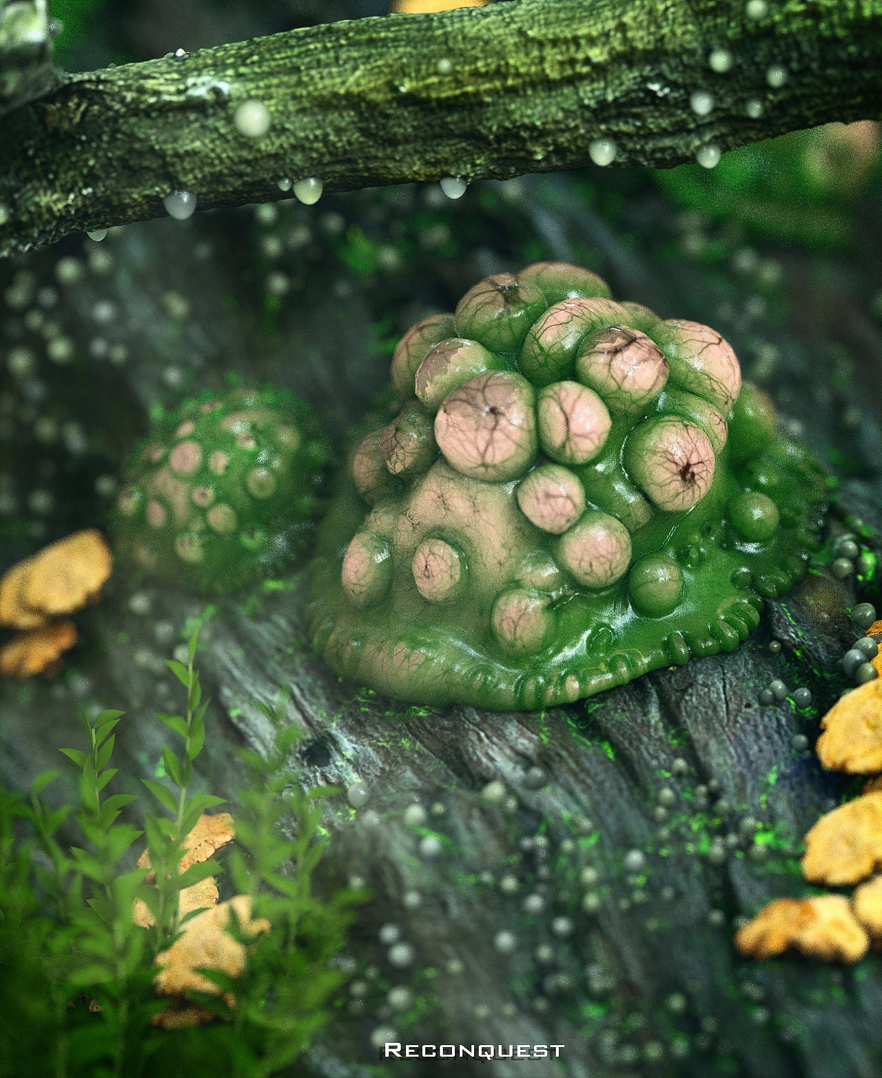 2018年初静态作品