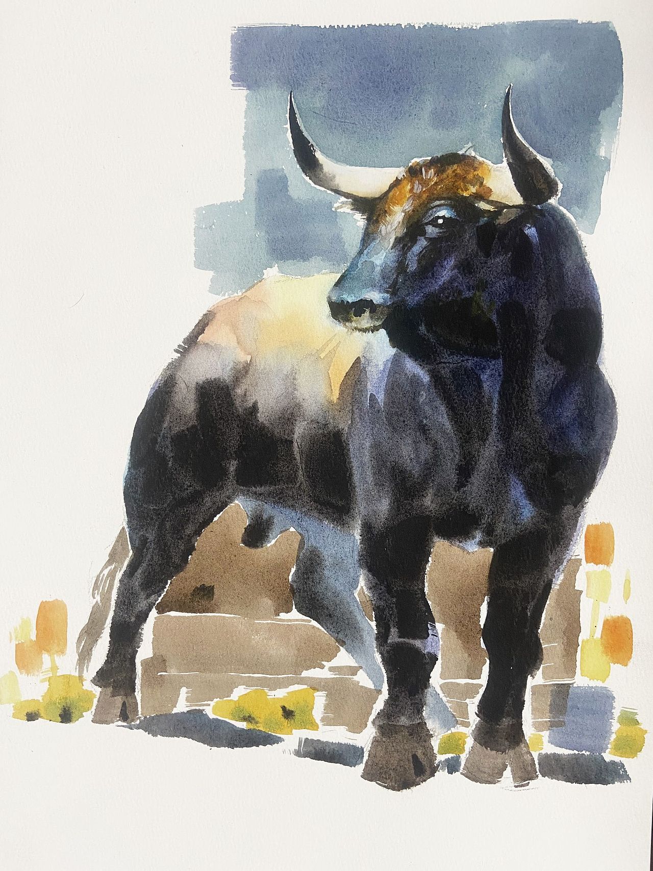 水彩动物合集（图ZMzE3ODAzMTIw） - 绘画 - 站酷设计师半夏插画原创素材 - 站酷ZCOOL