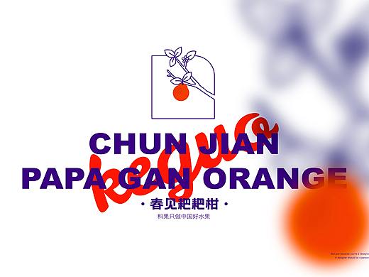 科果X 张洲 I 水果包装设计 X 春见耙耙柑