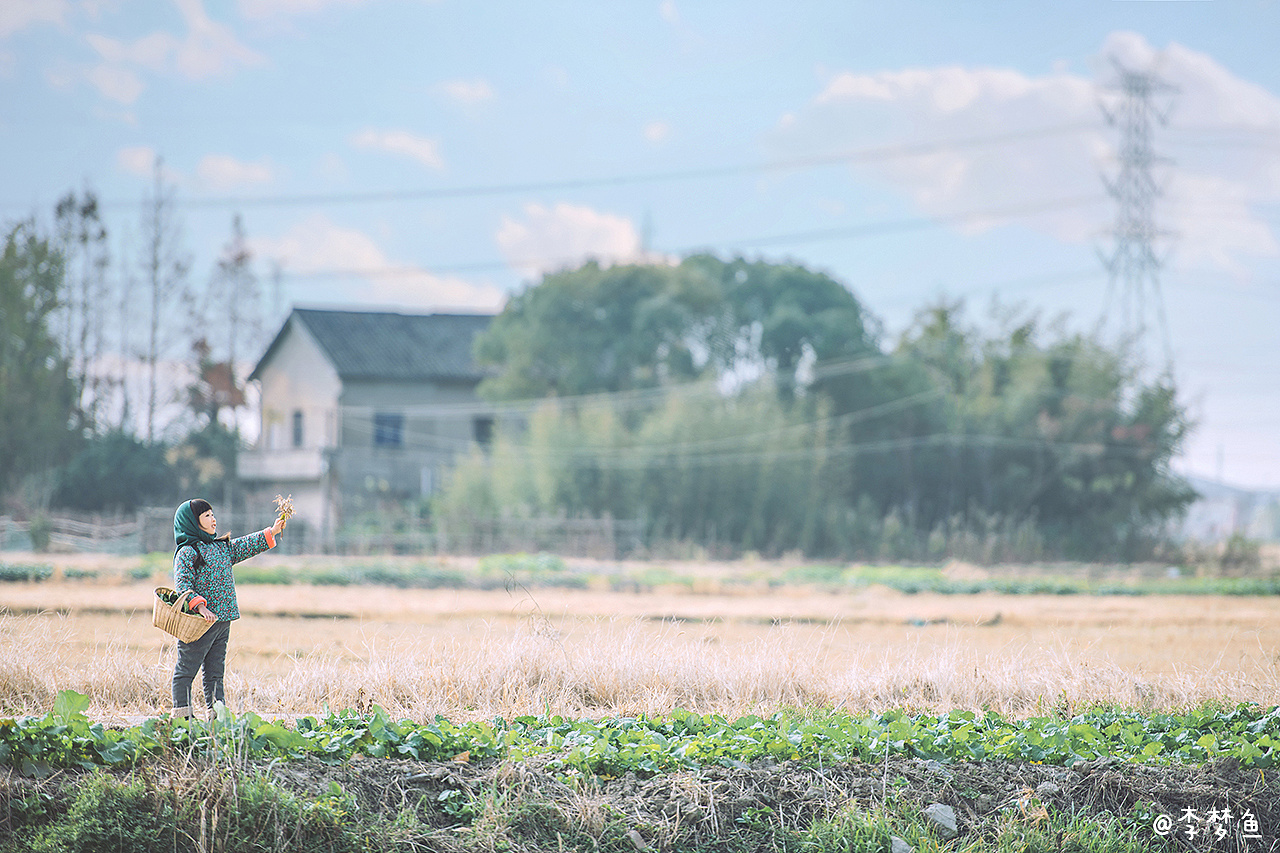 Z73644693的个人主页（封面预览） - 主页封面设置 - 站酷设计师Z73644693原创素材 - 站酷ZCOOL