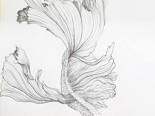 随手画