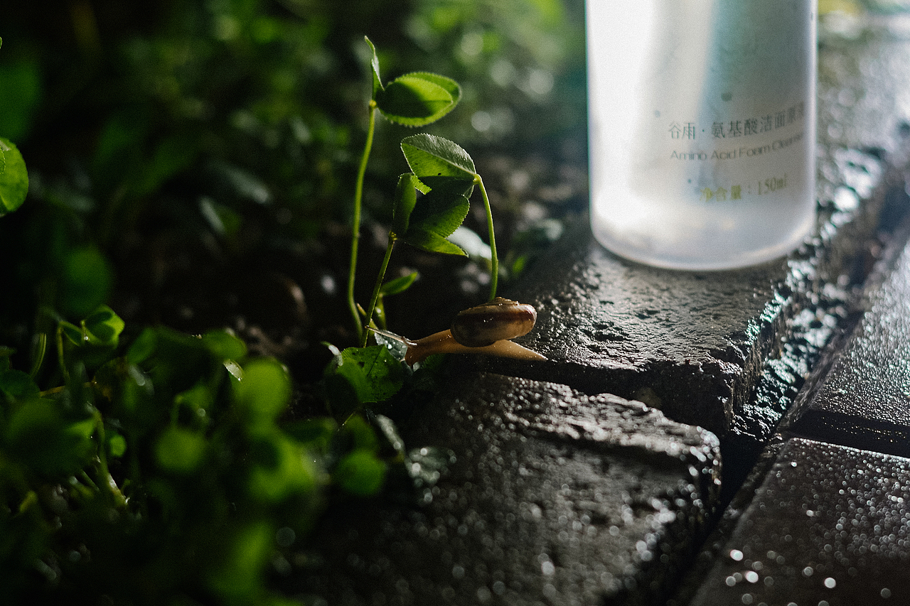 特别嘉宾（图ZMjM3MzQ0ODEy） - 产品摄影 - 站酷设计师散落一身月cm原创素材 - 站酷ZCOOL