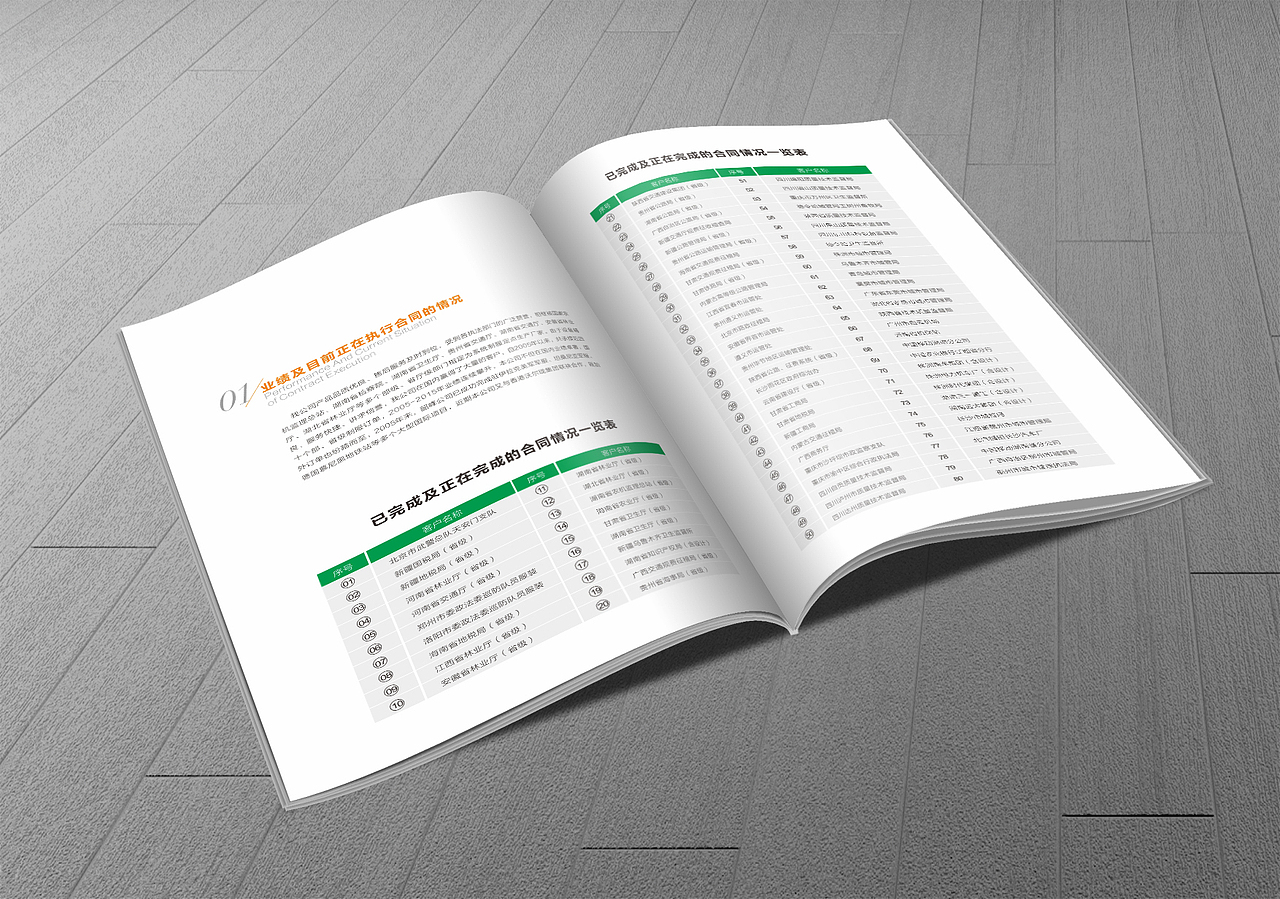 湖南韶峰服饰（图ZODc0NTQ3Njg=） - 书籍/画册 - 站酷设计师云顶品牌设计原创素材 - 站酷ZCOOL