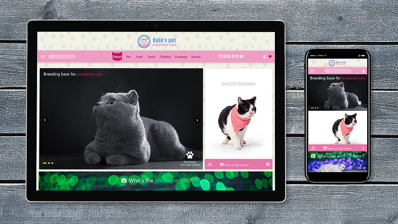 凯特宠物生活馆VI/CI设计（图ZODgwNTM3MTY=） - 品牌 - 站酷设计师尹寅111原创素材 - 站酷ZCOOL