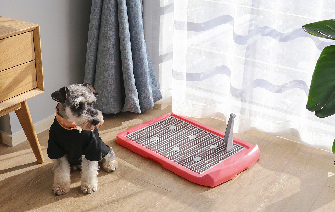 宠物用品拍摄-平板犬厕（图ZMjE5NzE1MjAw） - 产品摄影 - 站酷设计师小艾创意原创素材 - 站酷ZCOOL