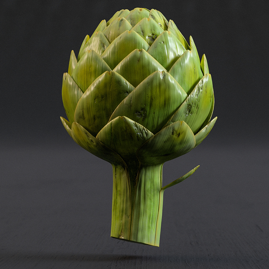 free 3d model artichokes