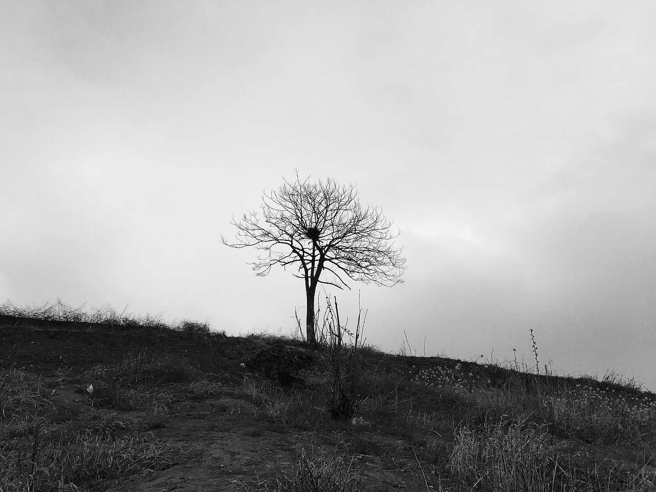 2017摄影作品小集