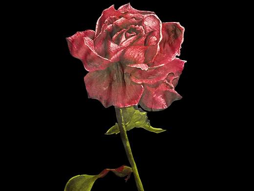 手繪類(lèi)（個(gè)人主頁(yè)-ZMzg3NDYxMDg=） - 藝術(shù)插畫(huà) - 站酷設(shè)計(jì)師號(hào)克拉速度快良想原創(chuàng)素材 - 站酷ZCOOL