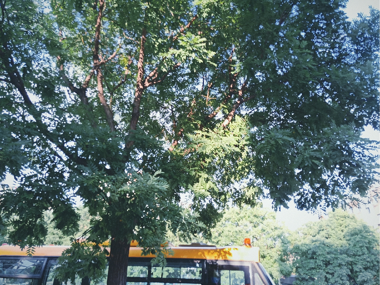 sun（图ZMjIyNTI0ODM2） - 风光摄影 - 站酷设计师宝藏小江原创素材 - 站酷ZCOOL