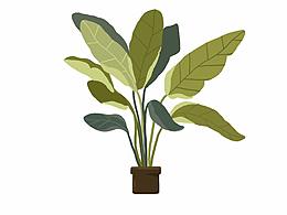 春天來了  你的小盆栽種起來了嗎？