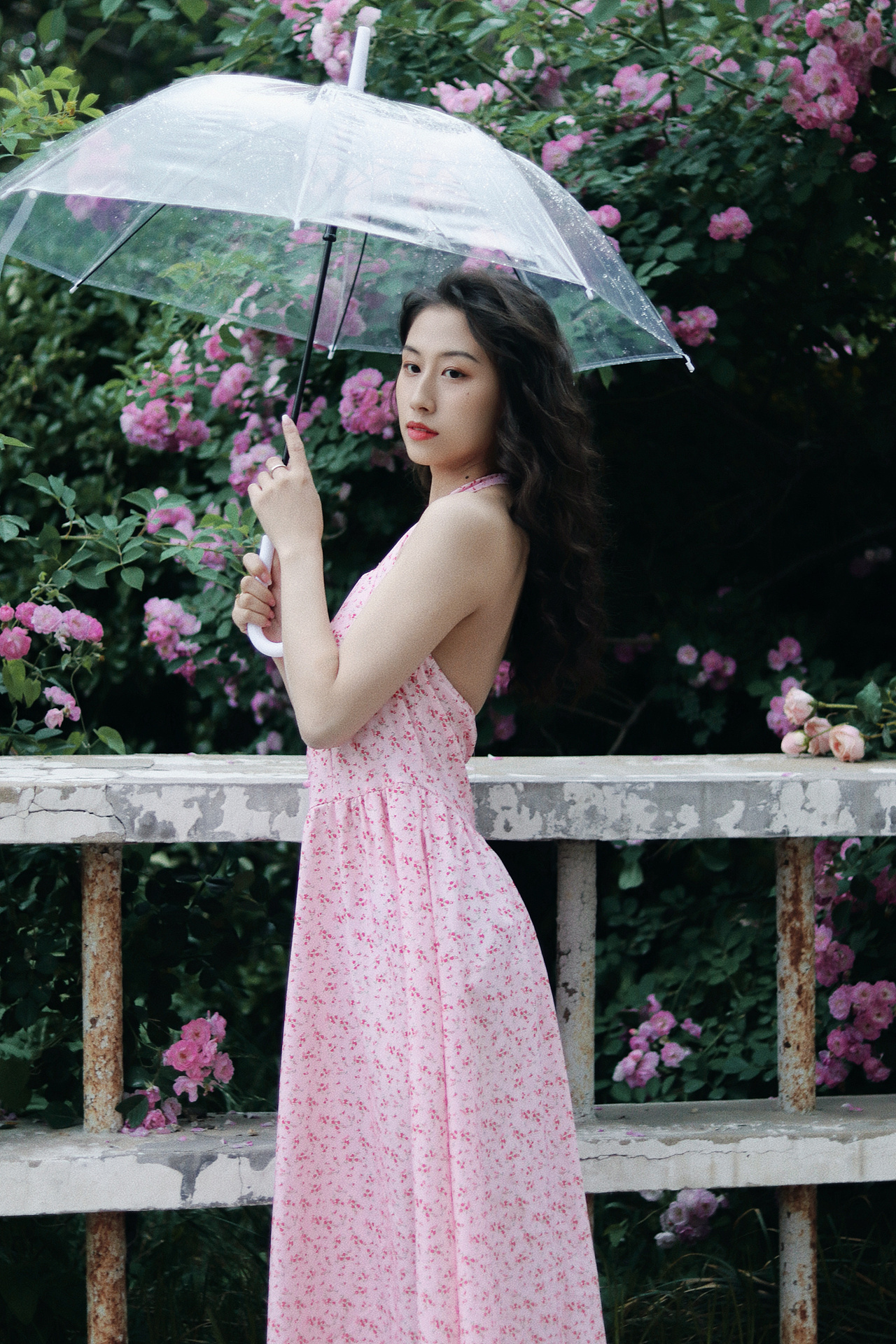 蔷薇少女（图ZMzAwNzA3MTQ0） - 人像摄影 - 站酷设计师古一力原创素材 - 站酷ZCOOL