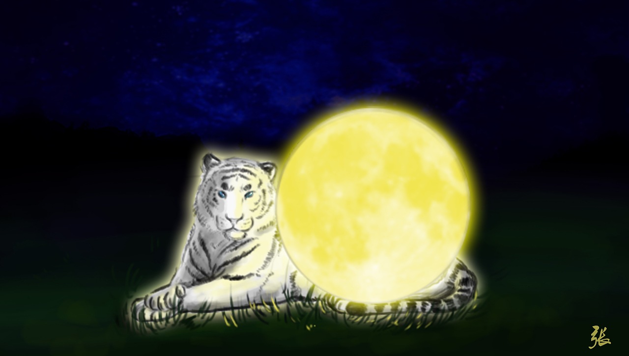 白虎伴月亮