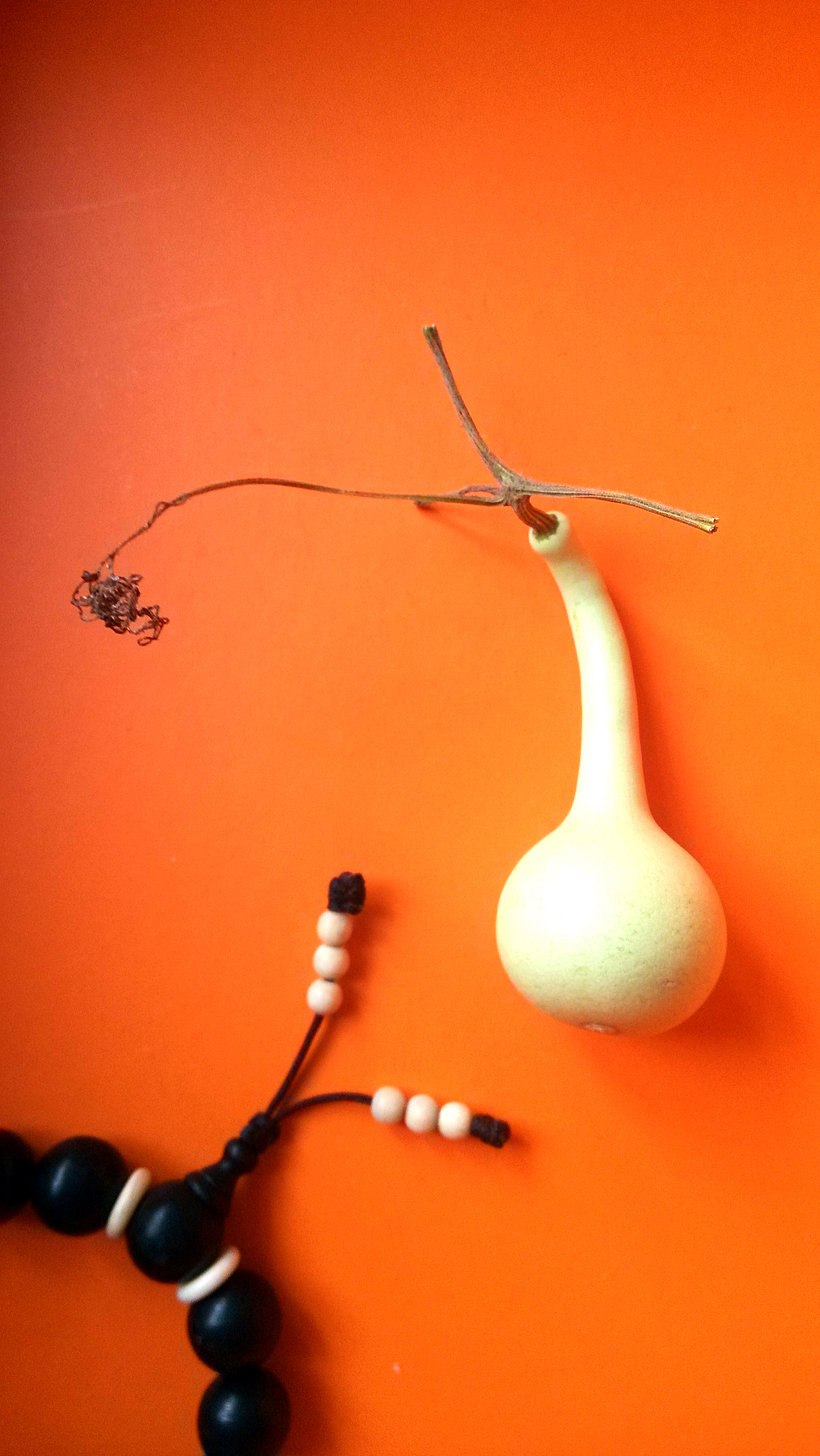 4、里子要糠，有厚度，跟海绵垫似的有弹性.。（行话：瓷皮糠里）