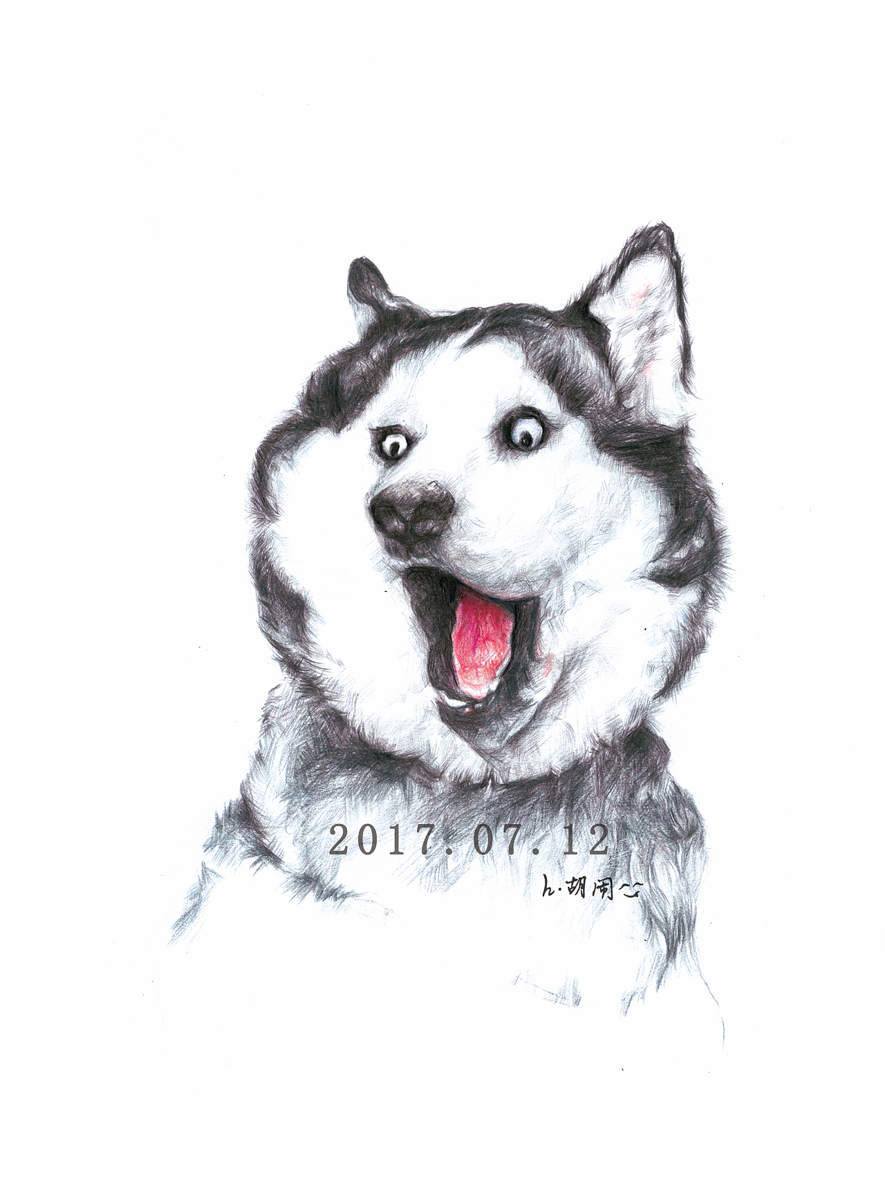 二哈|插画|商业插画|h胡闹 - 原创作品 - 站酷 (zcool)