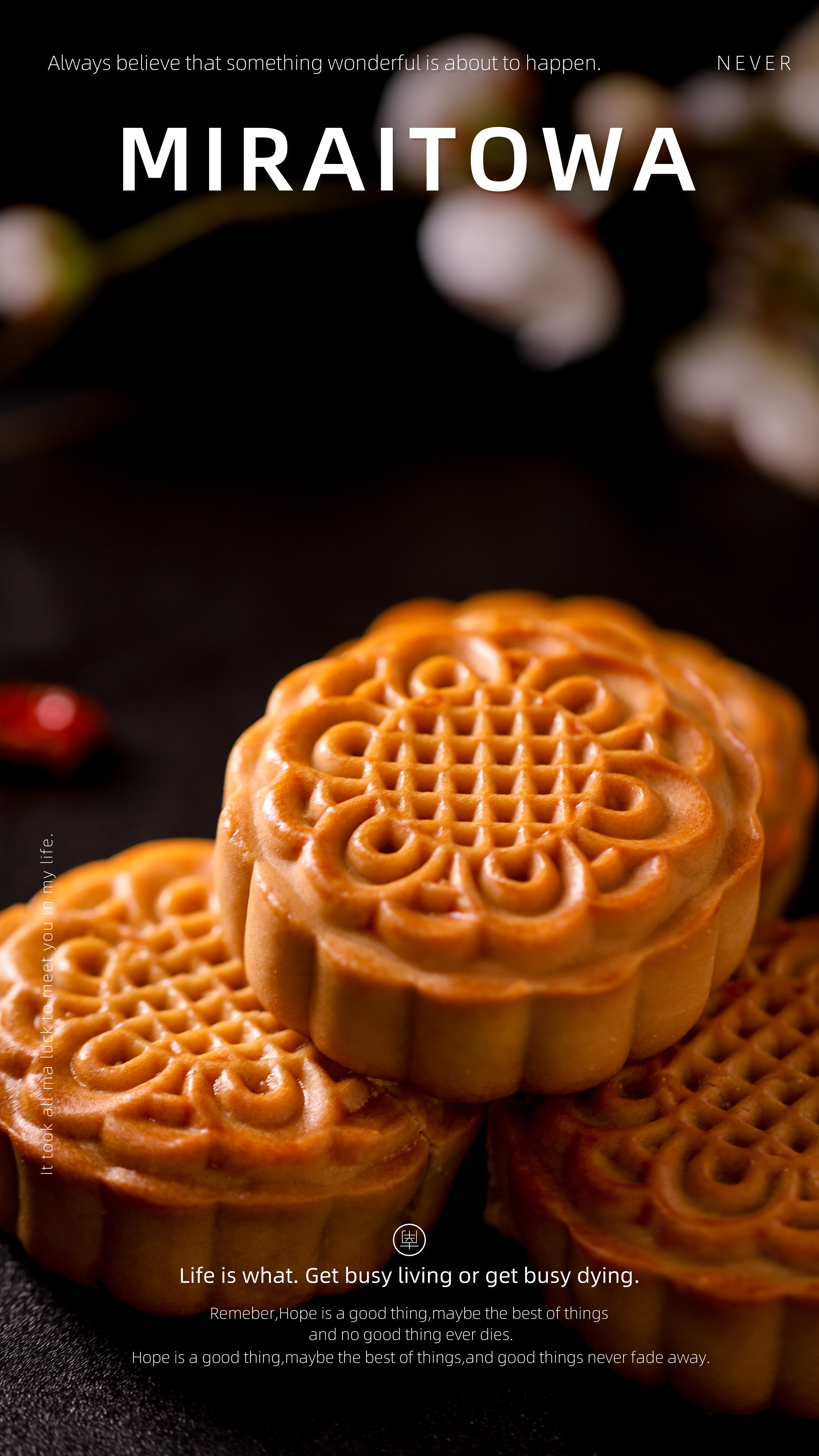 美食摄影月饼合集一_站笨小孩12138酷-站酷zcool