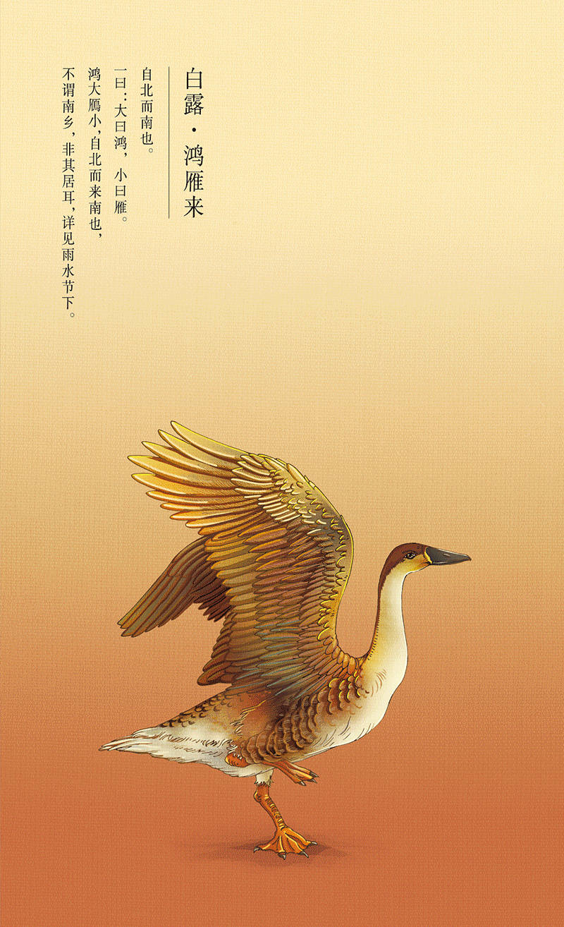 国馆原创「二〇一八 国馆日历」一本充满智慧的中国日历！（图ZOTA1MjE1NDQ=） - 书籍/画册 - 站酷设计师Trouver原创素材 - 站酷ZCOOL