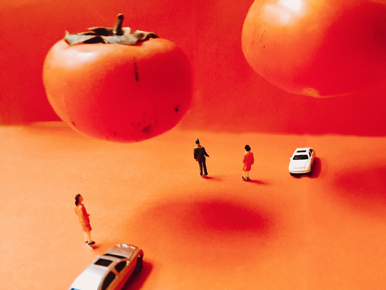 奇妙的小人世界-柿子红了