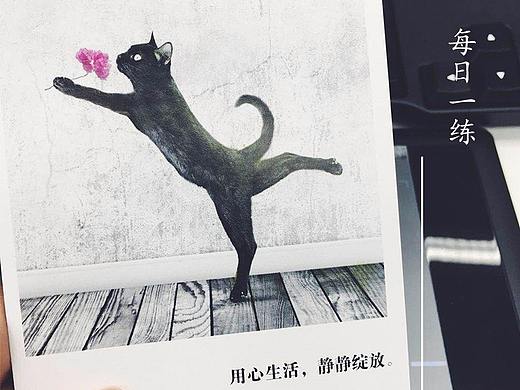 开一个flag / 每日一练