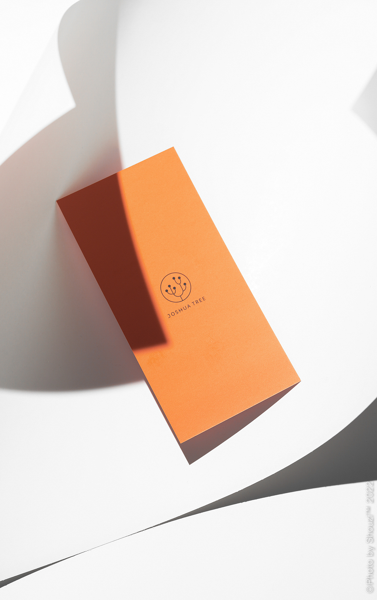 约书亚树复古石英表（图ZMzA0ODAyOTEy） - 产品摄影 - 站酷设计师ShouziVision原创素材 - 站酷ZCOOL