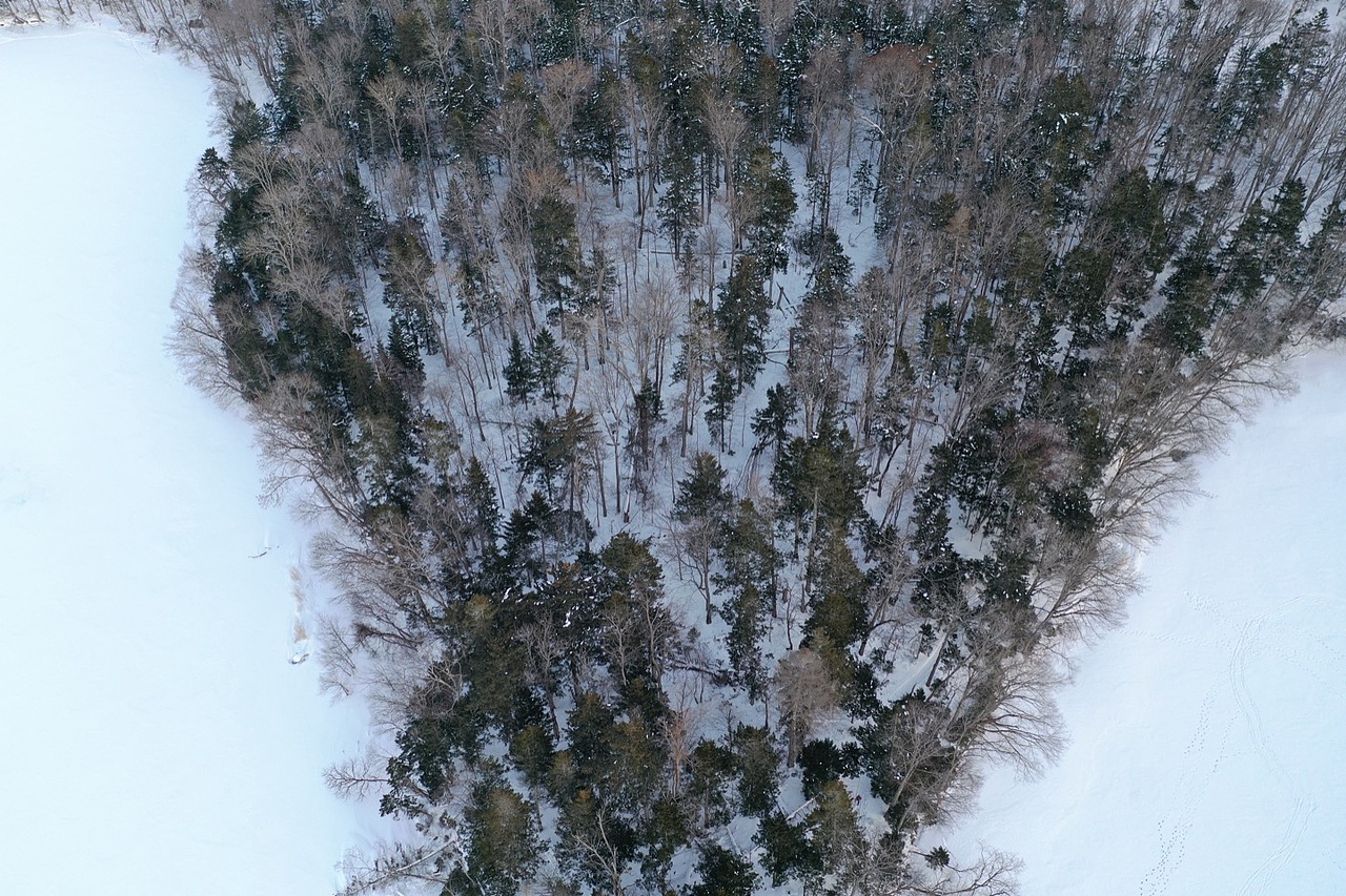 北海道-阿寒湖（图ZMTQzOTA5NDY0） - 风光摄影 - 站酷设计师DukeHuang原创素材 - 站酷ZCOOL