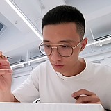 Tom张咔咔的头像