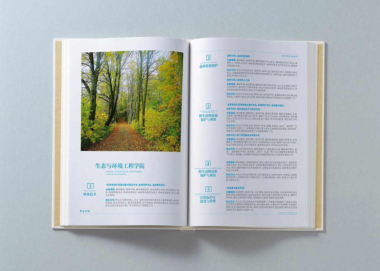 画册设计|高校招生手册