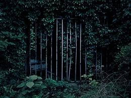 花鸟工笔素材图片