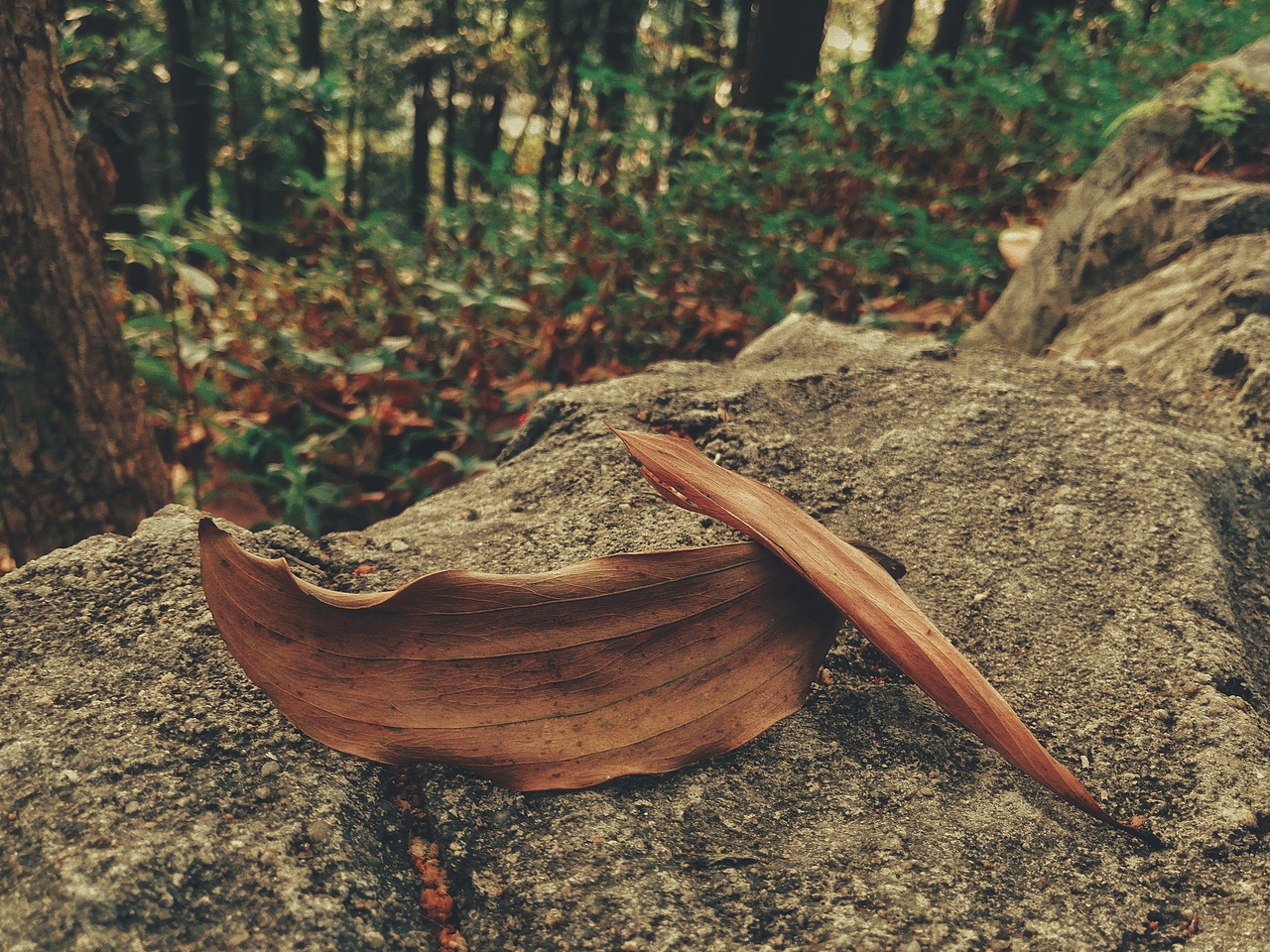 旅（图ZMjQ5MDkwNjc2） - 风光摄影 - 站酷设计师Qyina原创素材 - 站酷ZCOOL