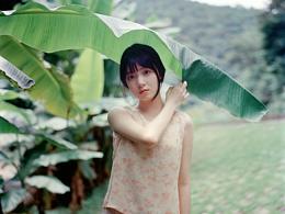 向阳绿