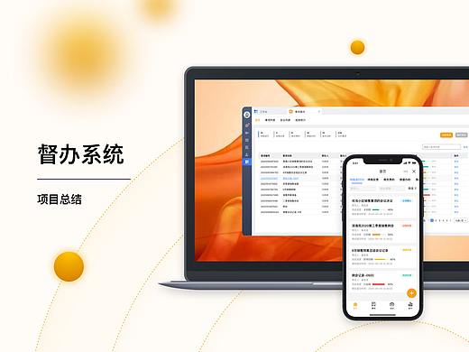 督办项目总结