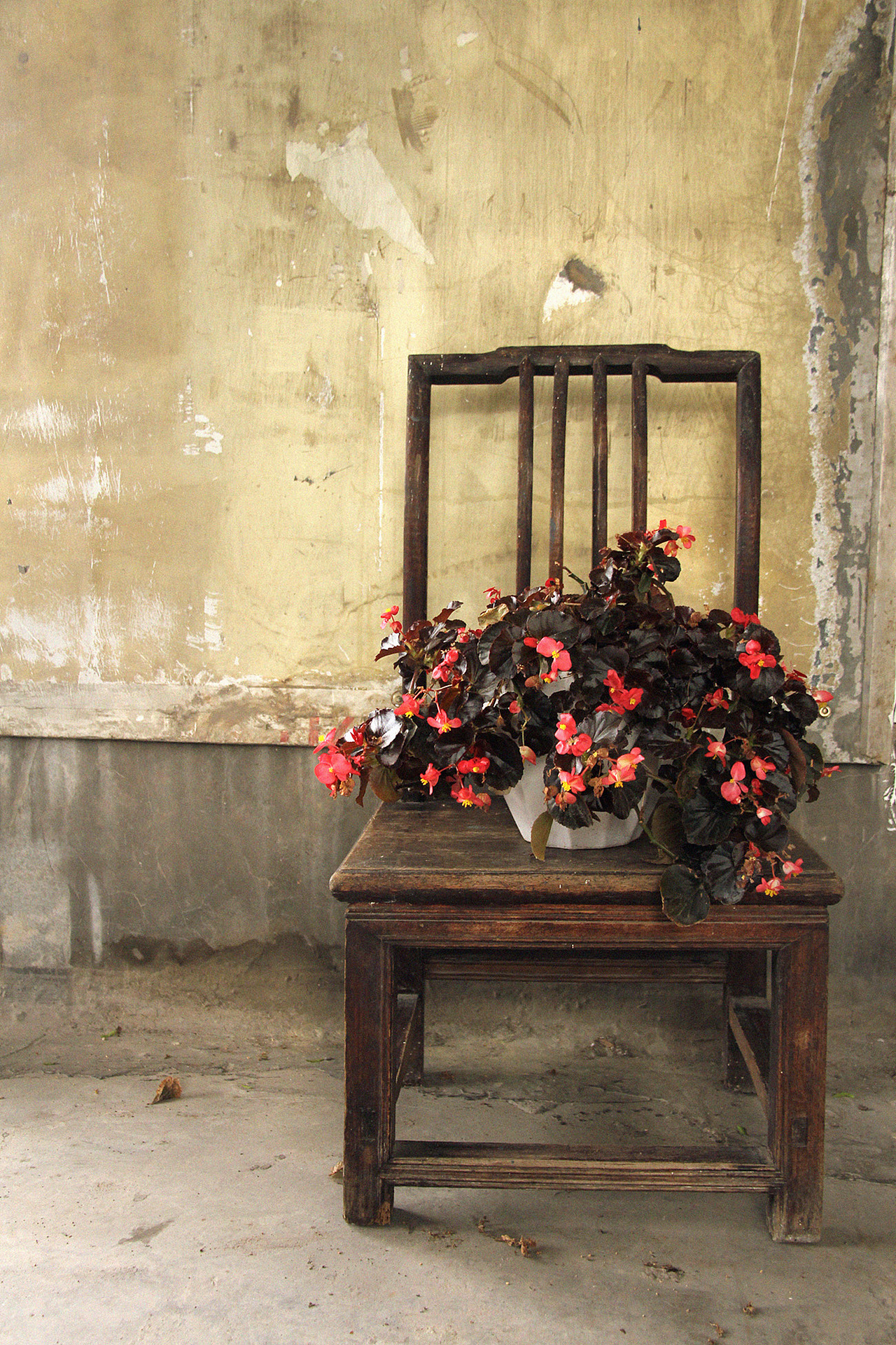 小满（图ZNTY5NjE3MzY=） - 产品摄影 - 站酷设计师阿曼的理想生活原创素材 - 站酷ZCOOL