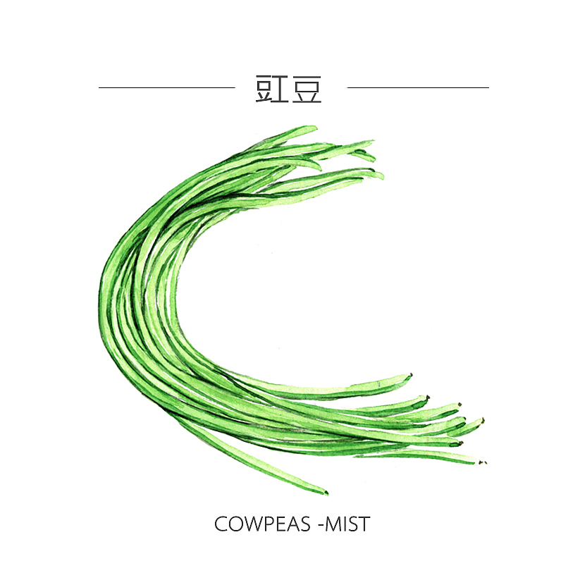 人类食谱-蔬菜（图ZMzY4MDg5Mjg=） - 商业插画 - 站酷设计师反派放映原创素材 - 站酷ZCOOL