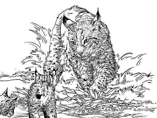 2189  一些插图整理
