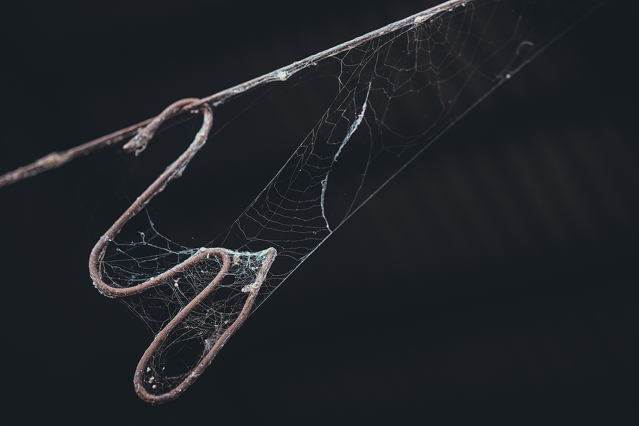 五玄土 || 带你走进大岭生活~