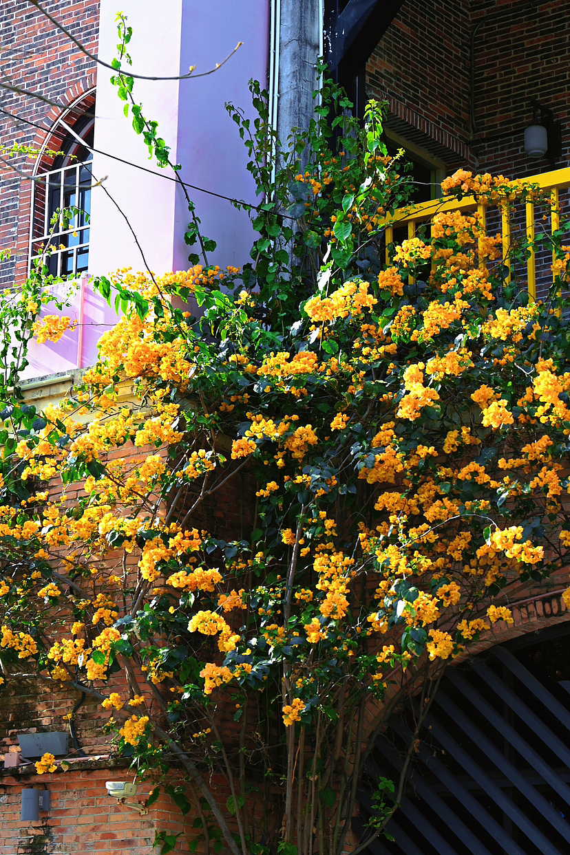 甘坑古镇/摄于3月