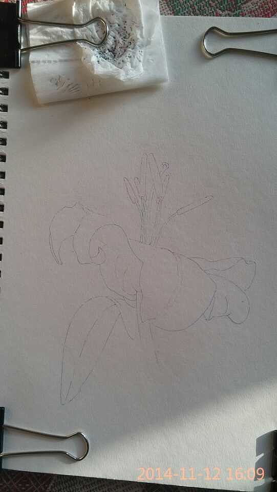 圆珠笔画——绚丽的百合（图ZMjE5OTg3ODA=） - 绘画 - 站酷设计师简一原创素材 - 站酷ZCOOL