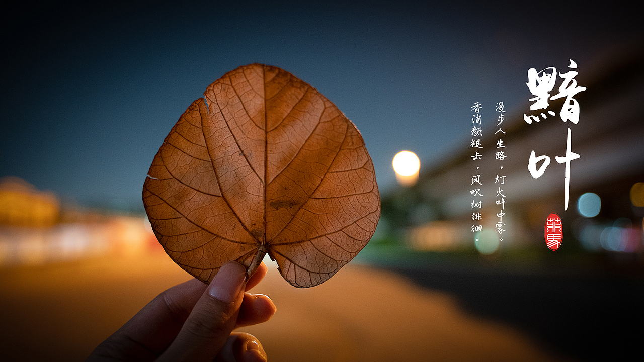 2021年的第一期扫街（图ZMjM4NzQwODcy） - 人文/纪实摄影 - 站酷设计师菲马摄影狸花猫原创素材 - 站酷ZCOOL