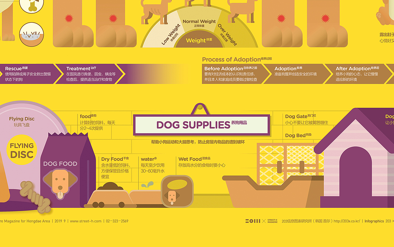 2019_09_狗_UNDERSTANGING DOG CARE（图ZMTkyODA1NDY0） - 信息图表 - 站酷设计师203_信息图表_Lab原创素材 - 站酷ZCOOL