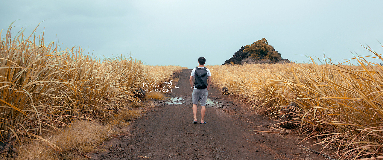 《毛里求斯》_想·享摄影