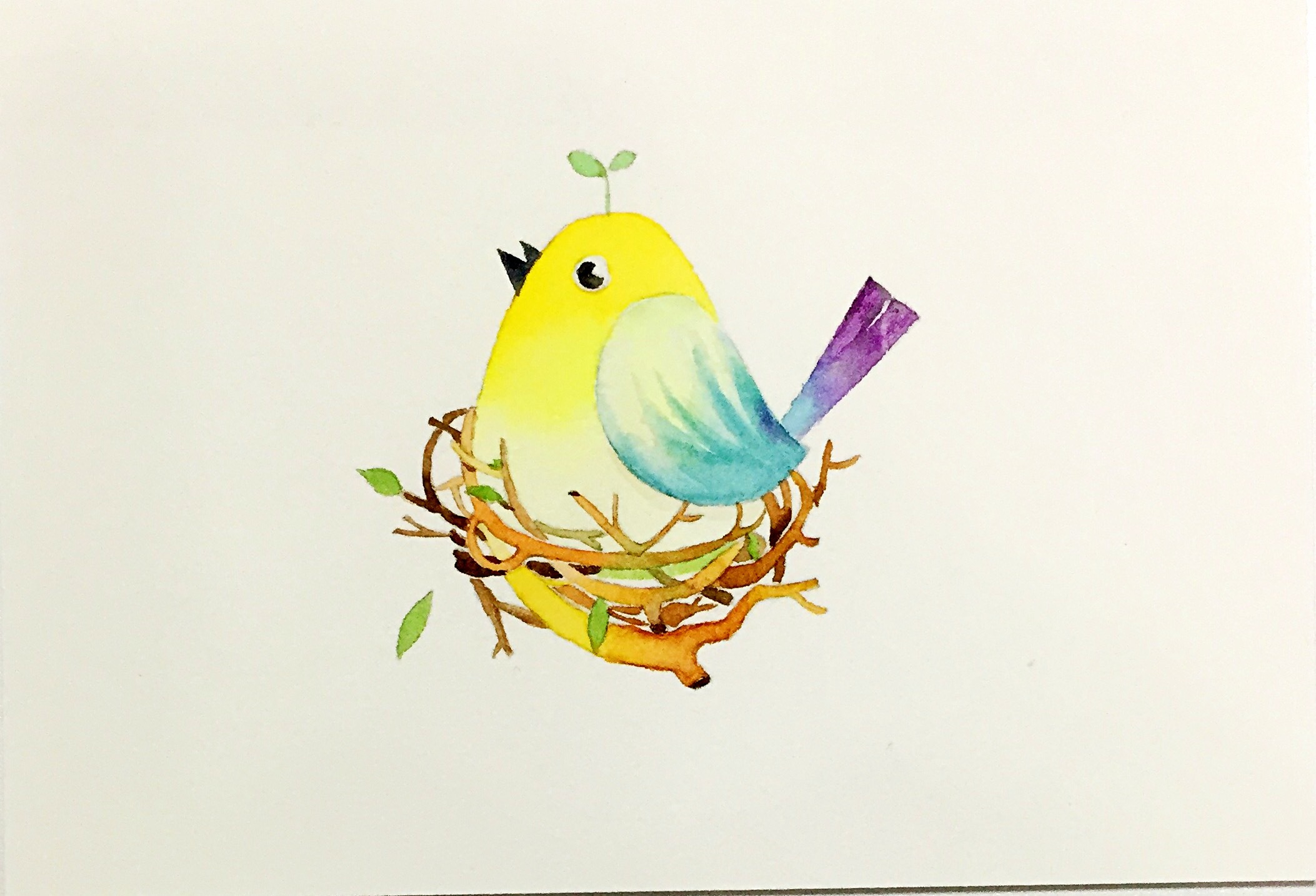 临摹几幅鸟儿|插画|插画习作|echo小鱼 - 原创作品 - 站酷 (zcool)