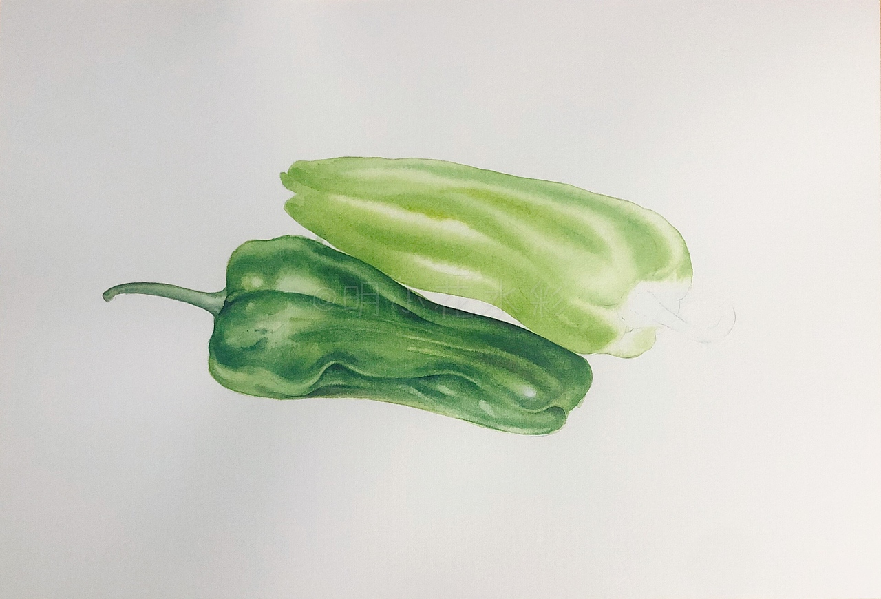 水彩果蔬丨是麻椒呀丨附全过程图