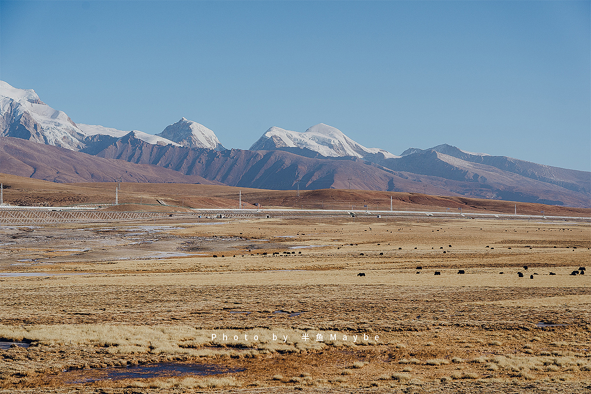 冬游西藏|唐古拉山 纳木措 拉萨