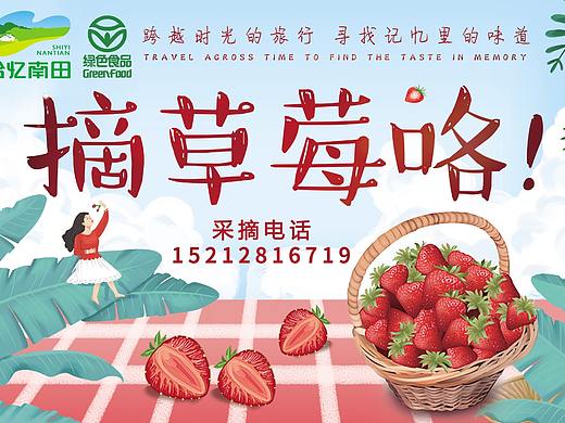 草莓采摘活动