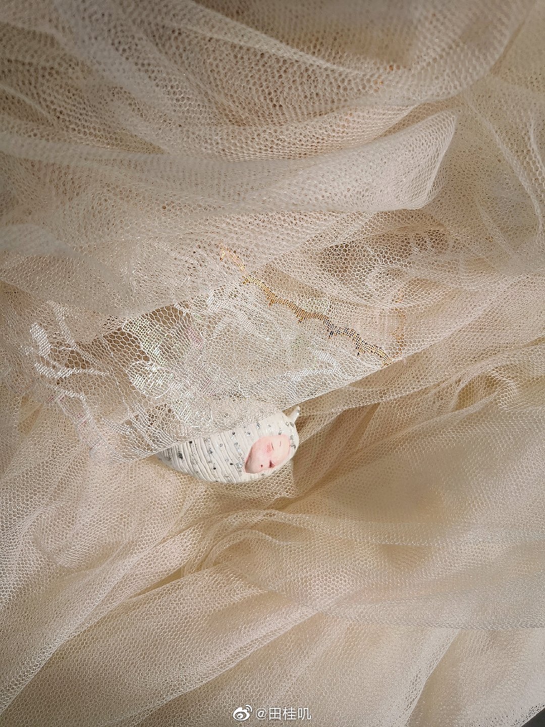 仙气手作艺术品（图ZMTg0MzU0MjA0） - 手办/模玩 - 站酷设计师田桂叽原创素材 - 站酷ZCOOL