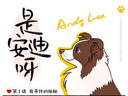 是安迪呀