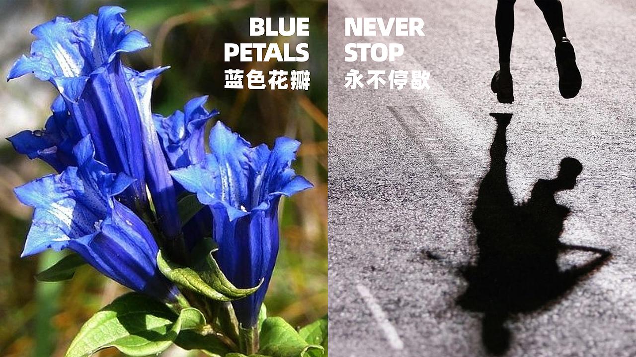 龙胆花 潮牌PR礼盒