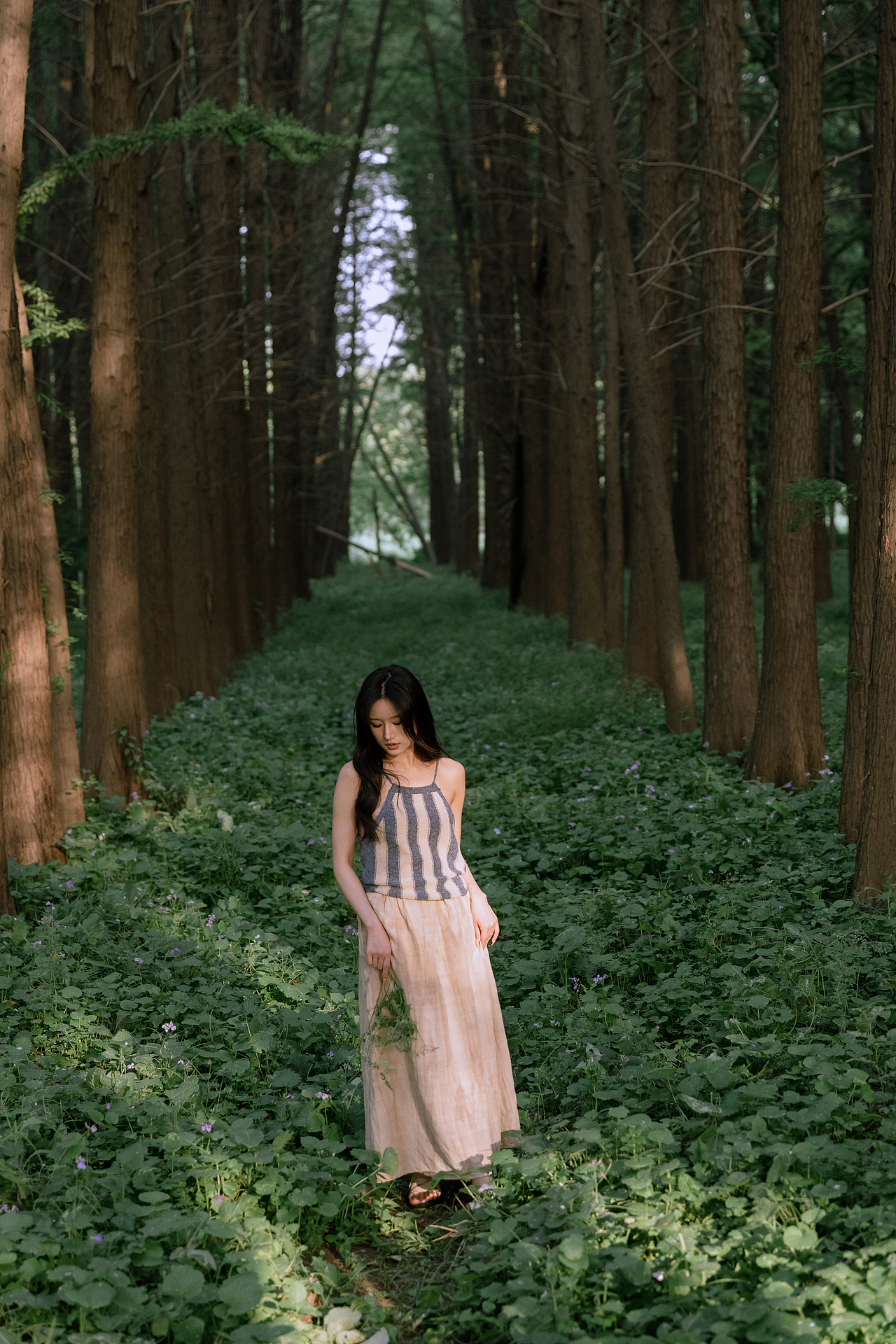 漫步水杉林（图ZMzQwNTg0OTU2） - 人像摄影 - 站酷设计师茶底zzz原创素材 - 站酷ZCOOL