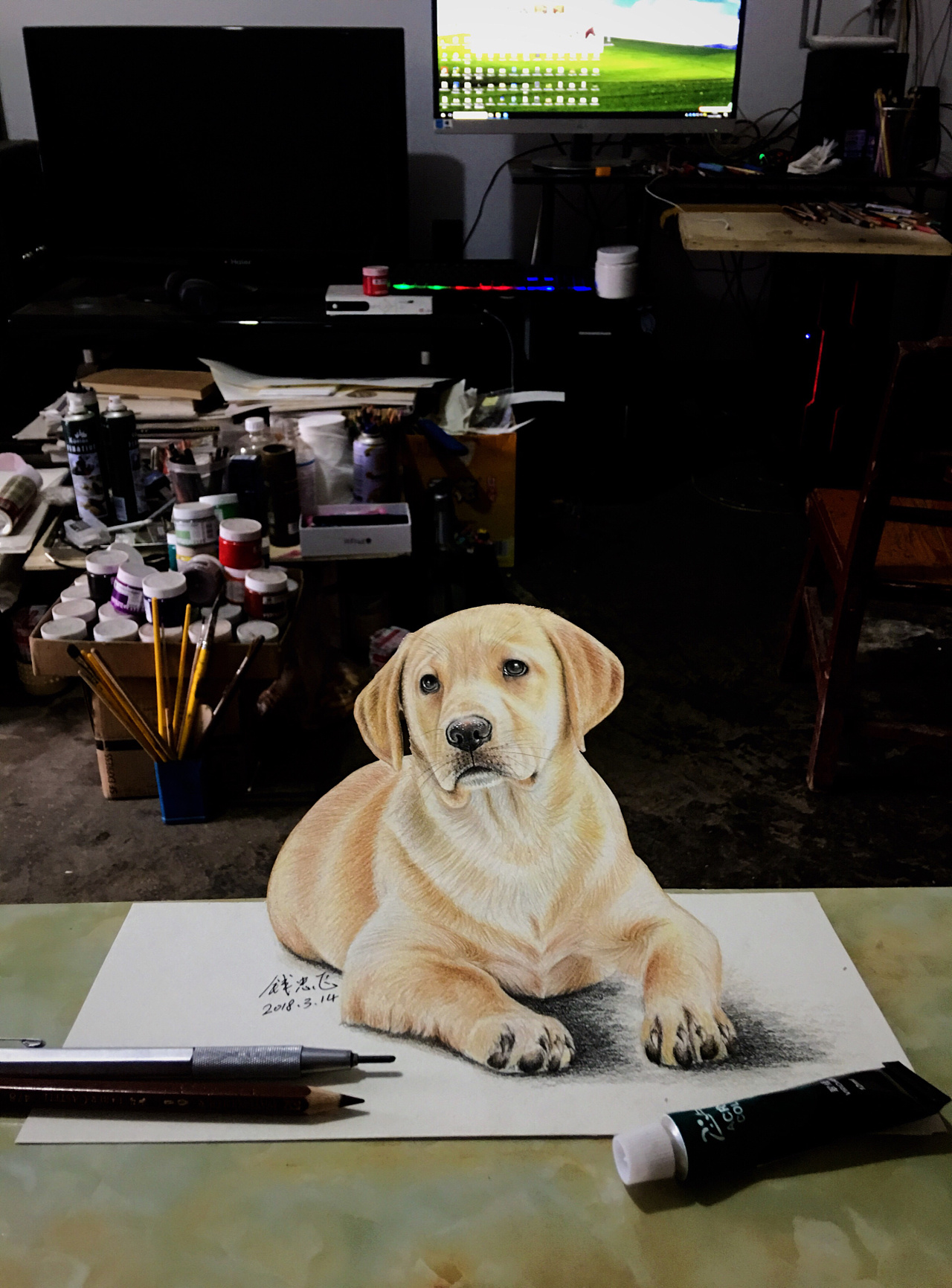 钱忠飞立体画,狗狗|纯艺术|绘画|钱忠飞 - 原创作品 - 站酷 (zcool)