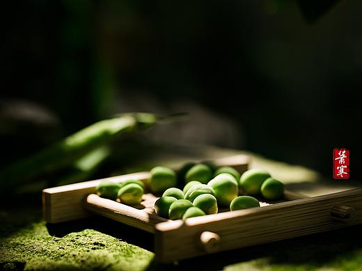 国风静物摄影 | 豌豆斩新绿